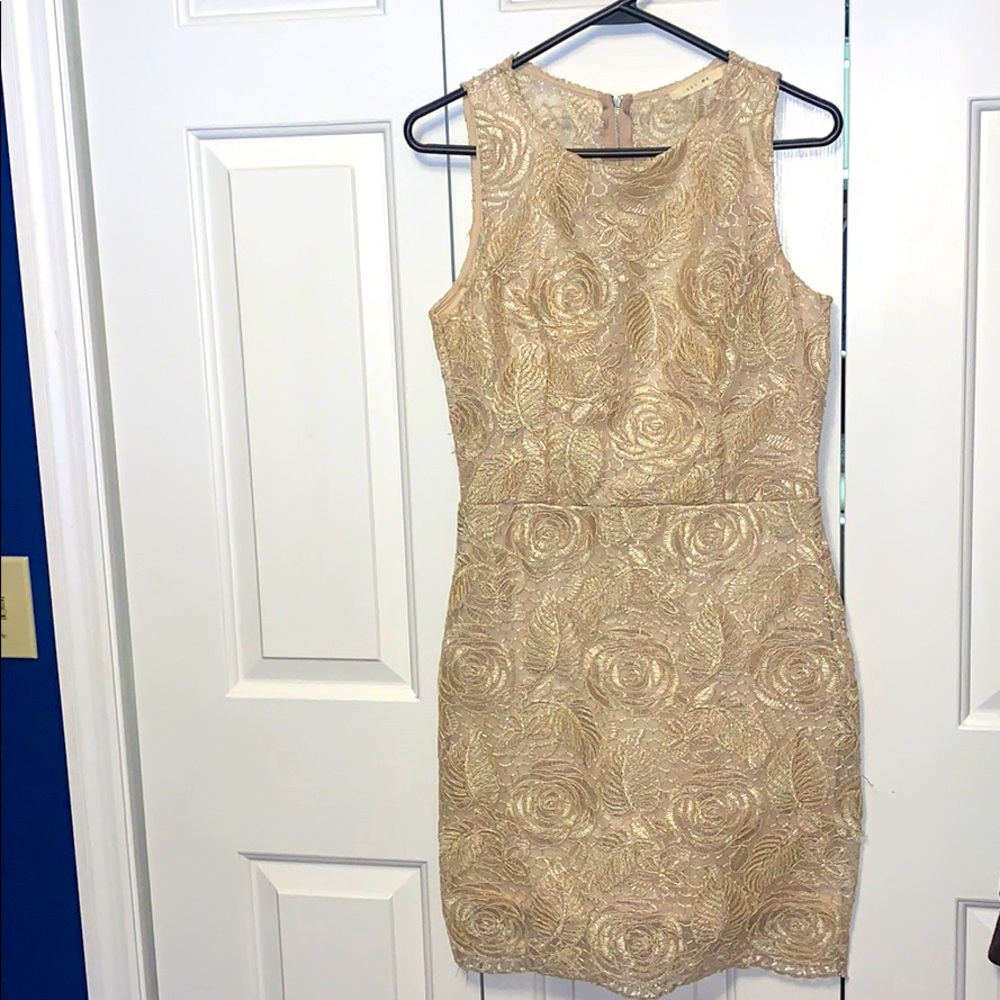 Tan Embroidered Dress